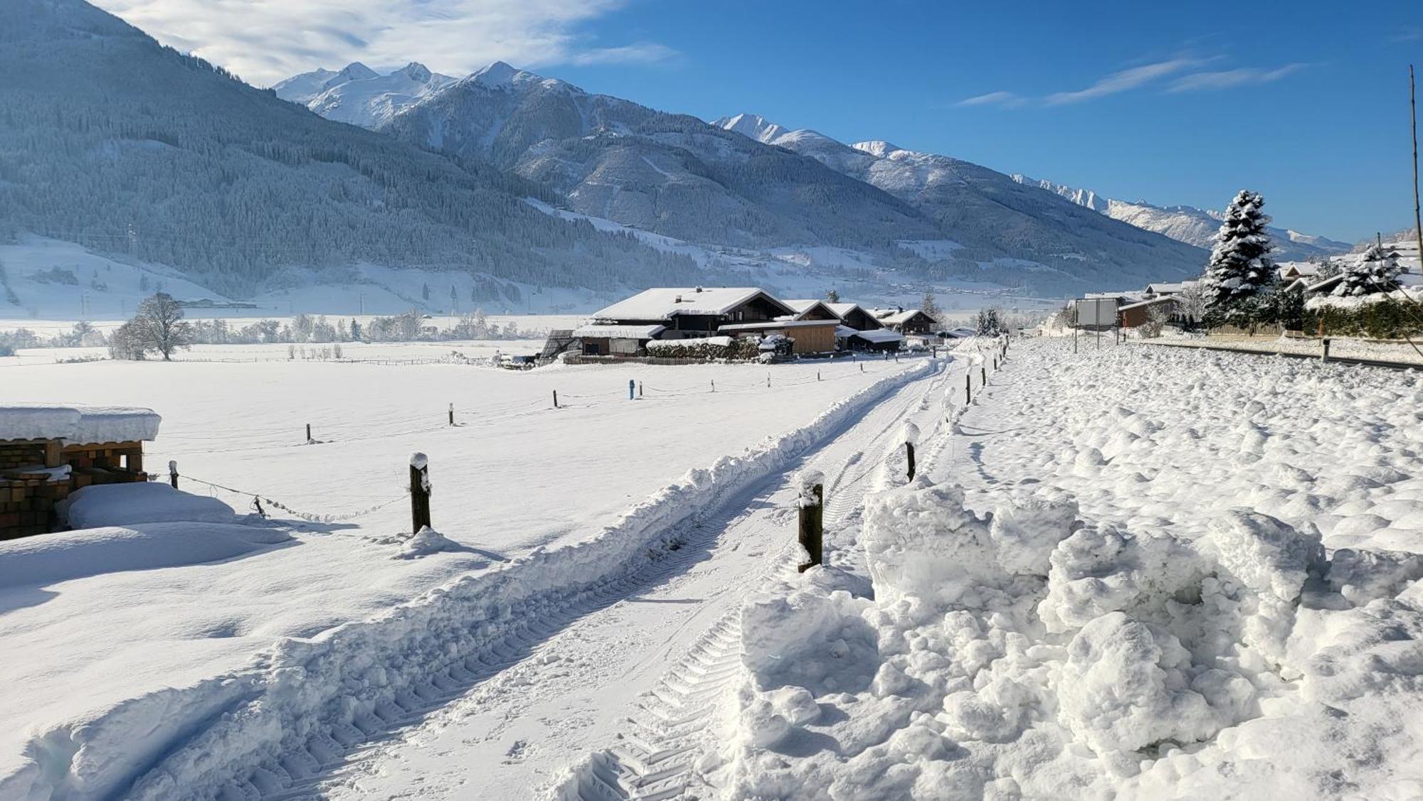 ピーゼンドルフ Haus Alpenliebeヴィラ エクステリア 写真